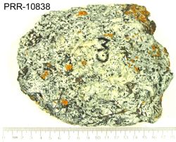 Photo of sample