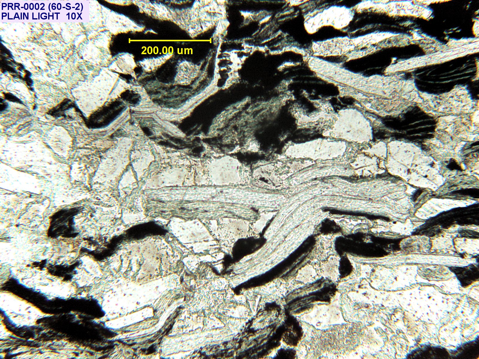 Pola Rok Rample Object # PRR-2: Rock Sample | Polar Rock Repository
