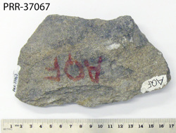 Photo of sample