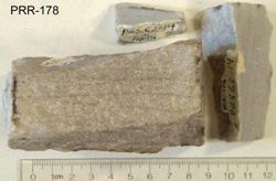 Photo of sample