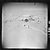 Other sample imagery
