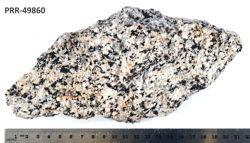 Photo of sample