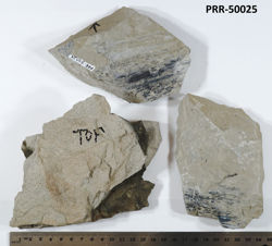 Photo of sample