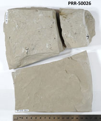 Photo of sample