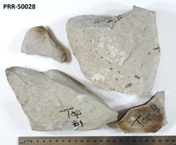 Photo of sample