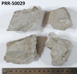 Photo of sample
