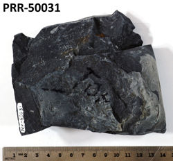 Photo of sample