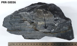 Photo of sample