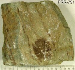 Photo of sample