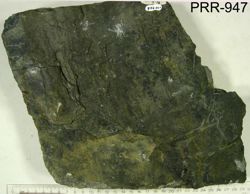 Photo of sample