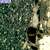 Other sample imagery