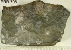 Photo of sample