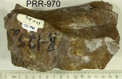 Photo of sample