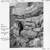 Other sample imagery