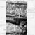 Other sample imagery