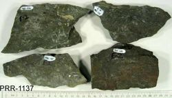 Photo of sample