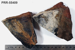 Photo of sample
