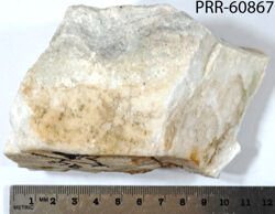 Photo of sample