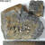 Other sample imagery