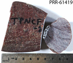 Photo of sample