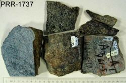 Photo of sample