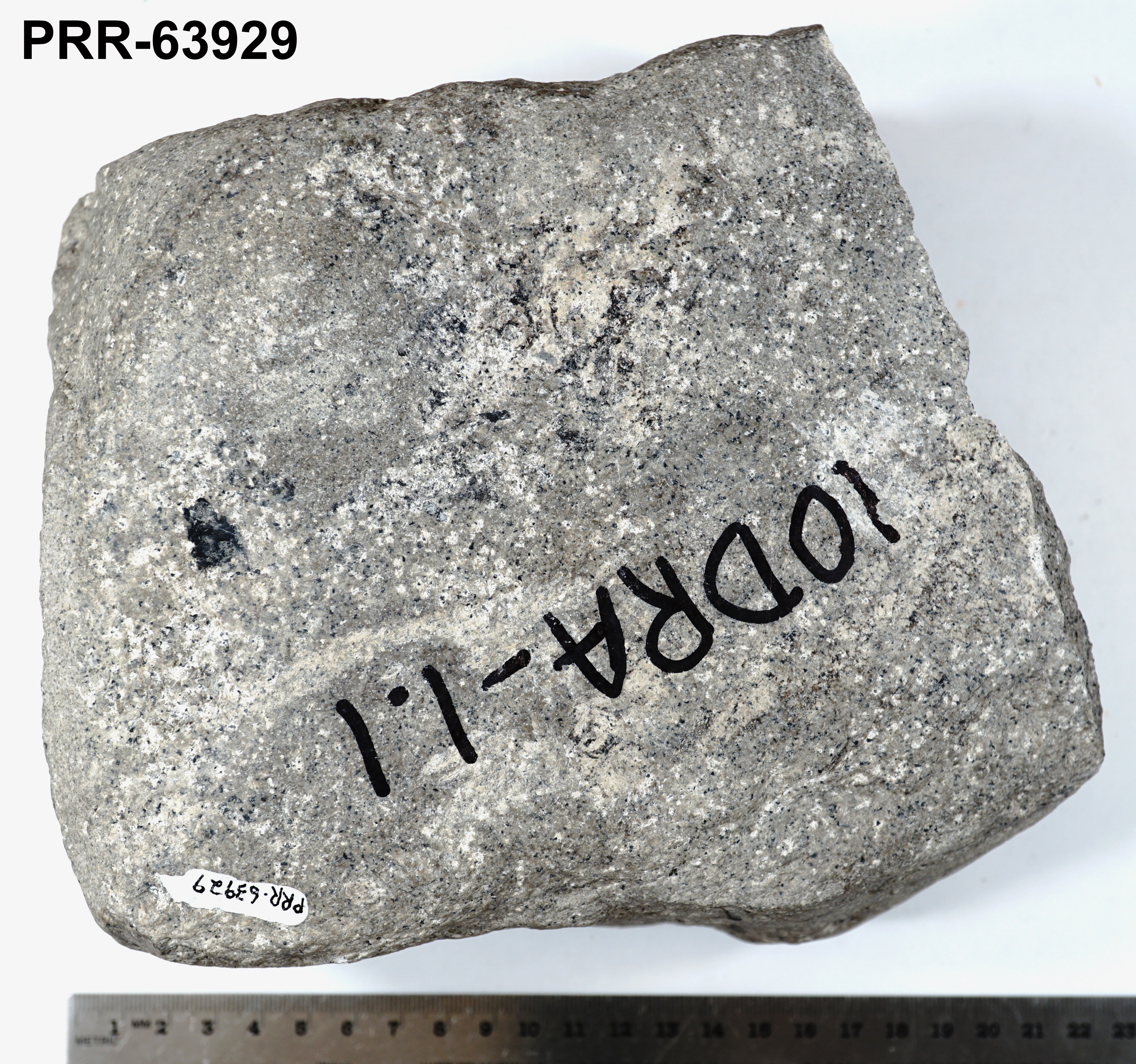 Rock Sampleee Object # PRR-63929: Rock Sample | Polar Rock Repository