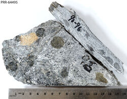 Photo of sample