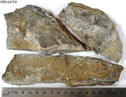 Photo of sample