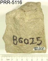 Photo of sample