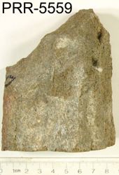 Photo of sample