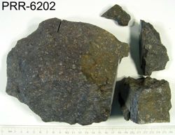 Photo of sample