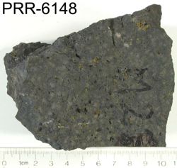 Photo of sample