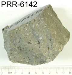 Photo of sample