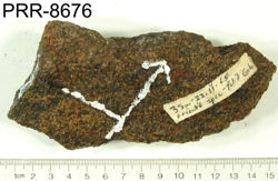 Photo of sample