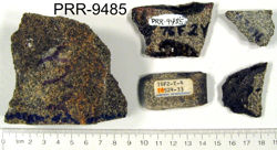 Photo of sample
