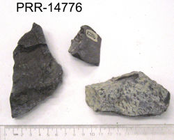 Photo of sample