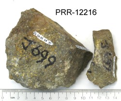 Photo of sample