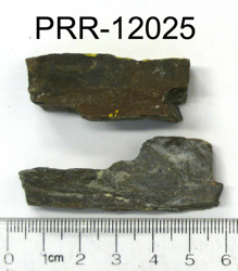 Photo of sample