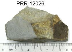Photo of sample