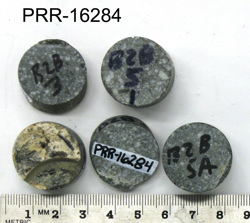 Photo of sample
