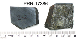 Photo of sample