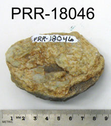 Photo of sample