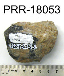 Photo of sample
