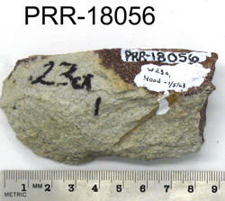 Photo of sample