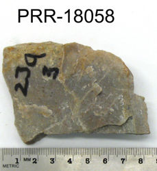 Photo of sample