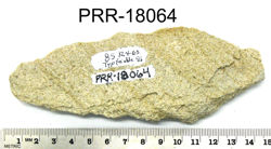 Photo of sample