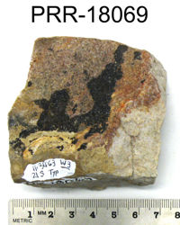 Photo of sample