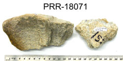 Photo of sample