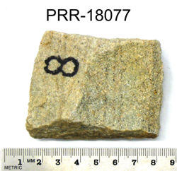 Photo of sample