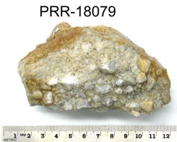 Photo of sample